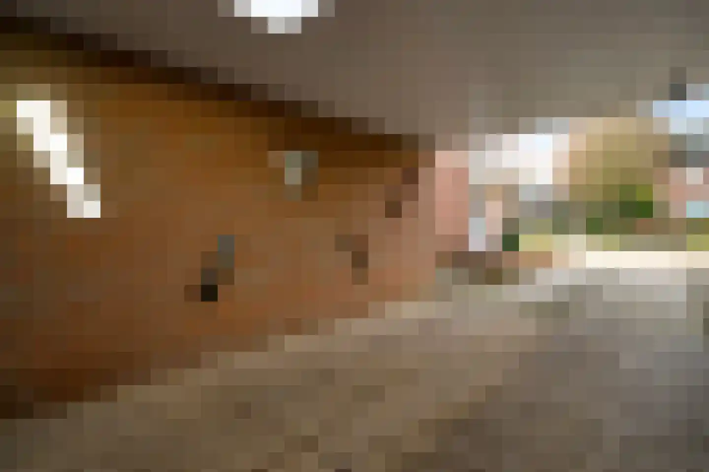 Frans Erensstraat 3 Beek thumbnail 32
