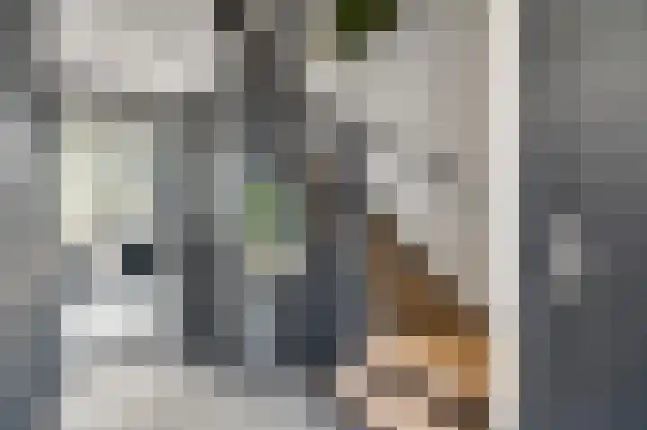 Frans Erensstraat 33 Melick thumbnail 5