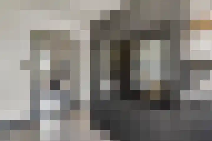 Frans Erensstraat 33 Melick thumbnail 8