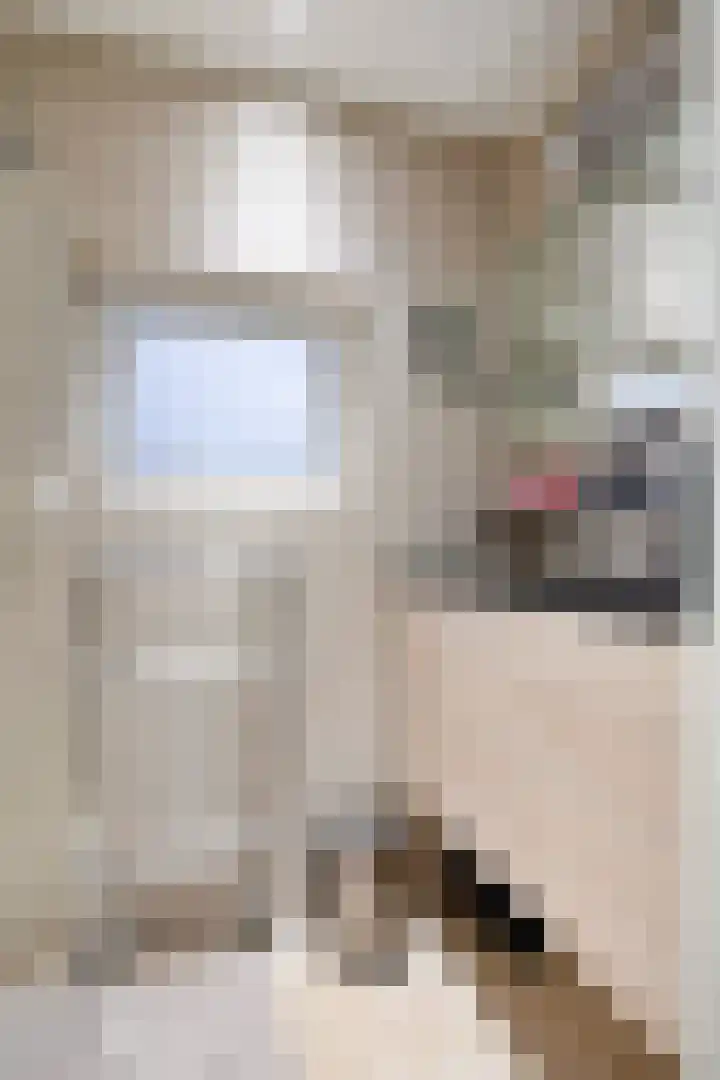 Frans Erensstraat 37 Sittard thumbnail 20