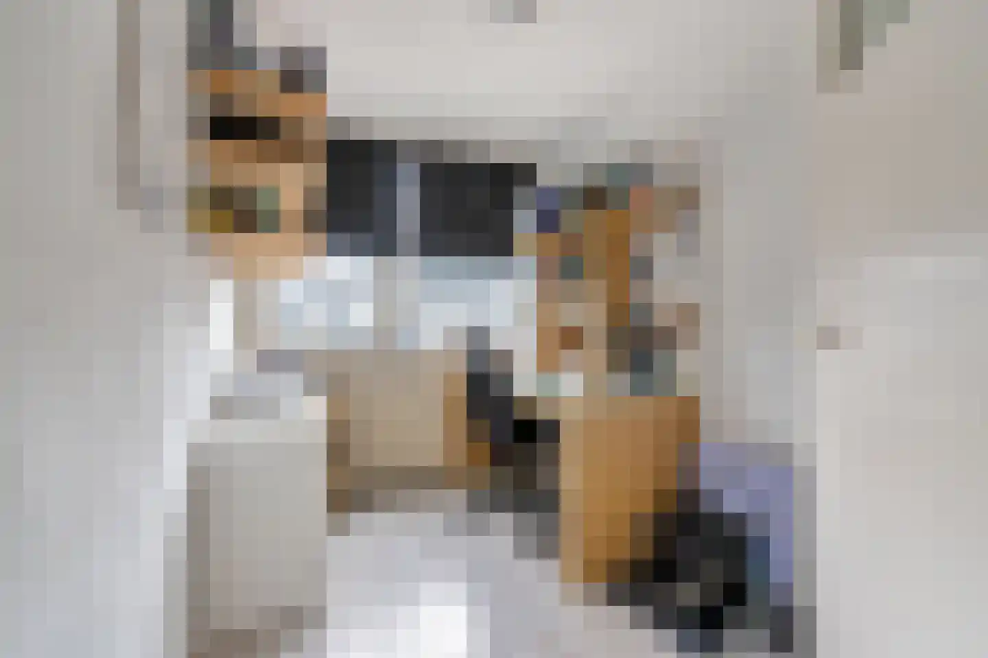 Frans Erensstraat 4 Tilburg thumbnail 17