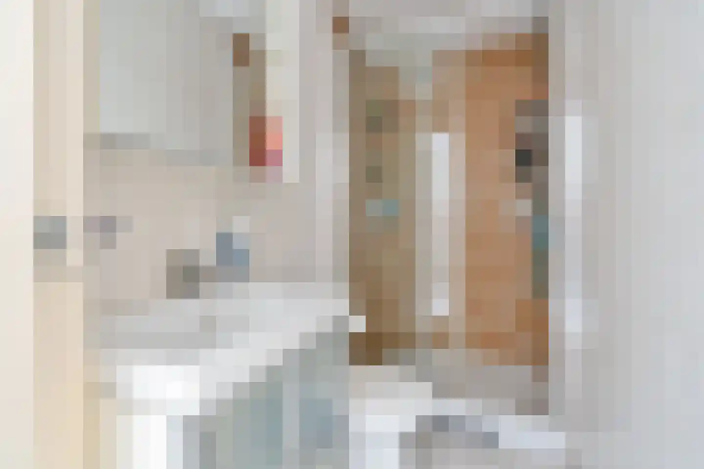 Frans Erensstraat 4 Tilburg thumbnail 18