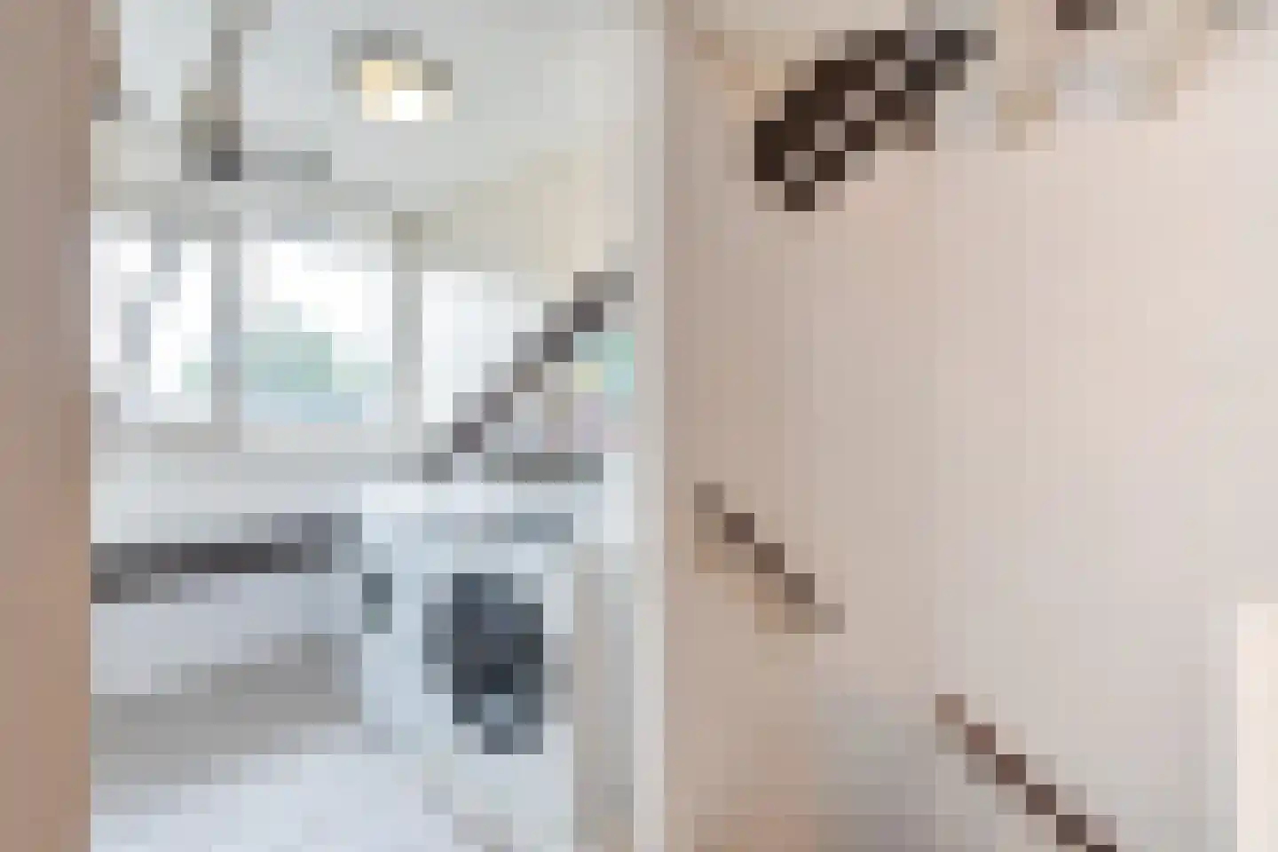Frans Erensstraat 4 Tilburg thumbnail 22