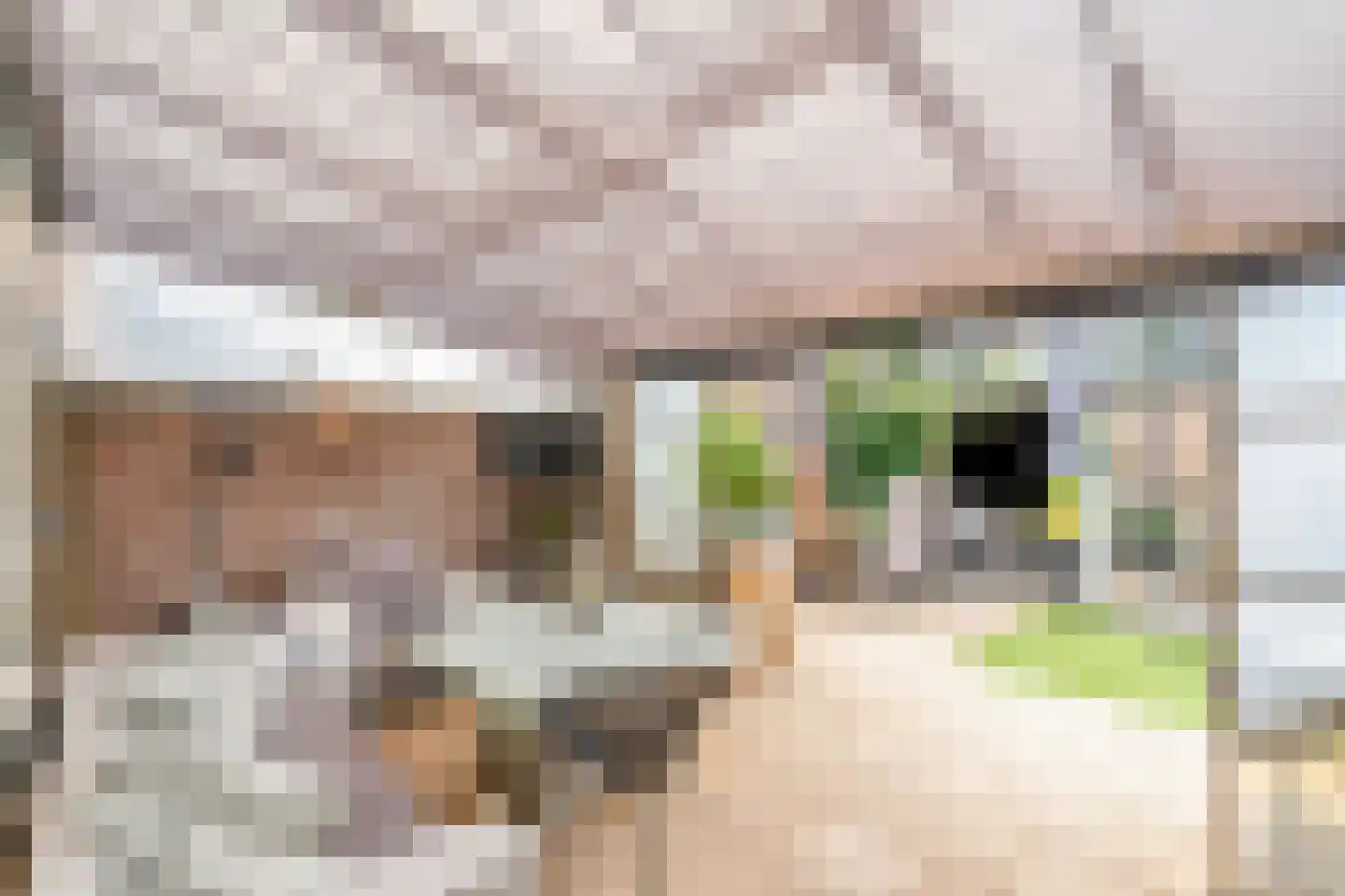 Frans Erensstraat 4 Tilburg thumbnail 25