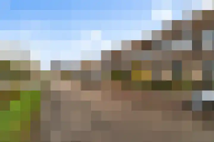 Frans Fennishof 19 Ankeveen thumbnail 21