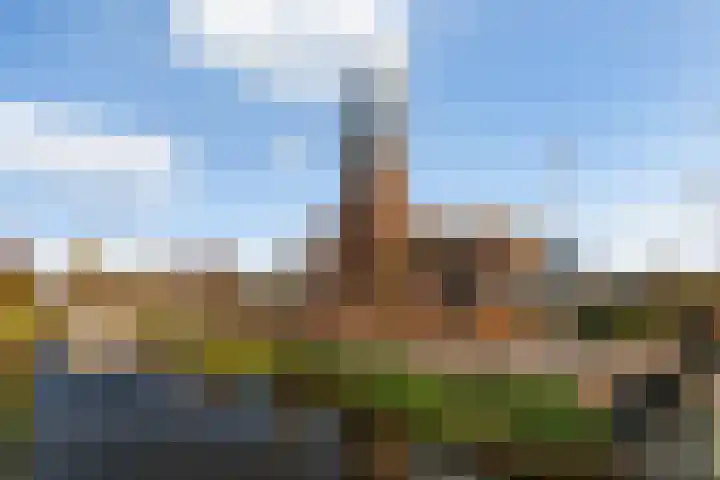 Frans Fennishof 19 Ankeveen thumbnail 23