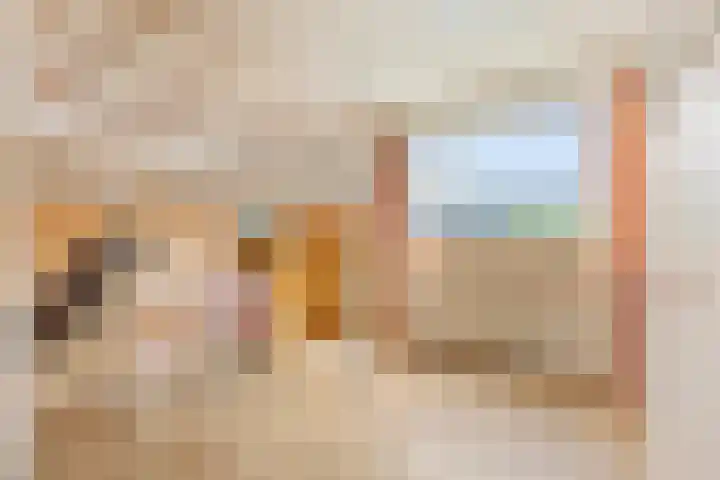 Frans Fransenstraat 13 's-Hertogenbosch thumbnail 34