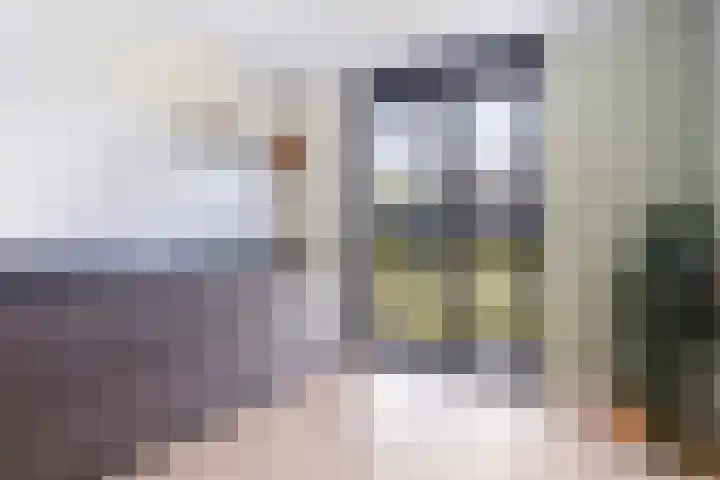 Frans Halserf 16 Twello thumbnail 10