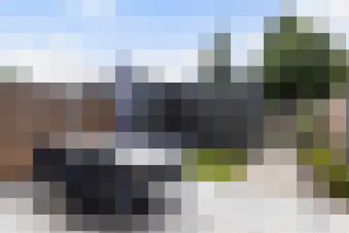 Frans Halserf 16 Twello thumbnail 13