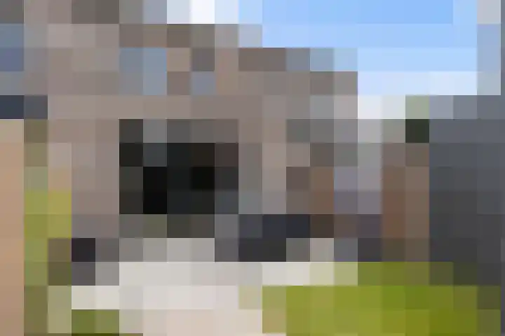 Frans Halserf 16 Twello thumbnail 14