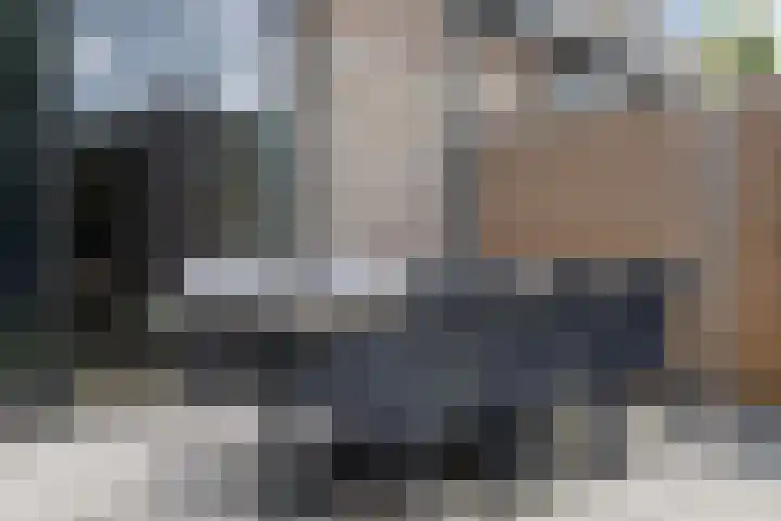 Frans Halserf 16 Twello thumbnail 15
