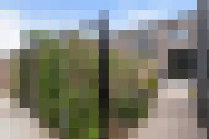 Frans Halserf 16 Twello thumbnail 17
