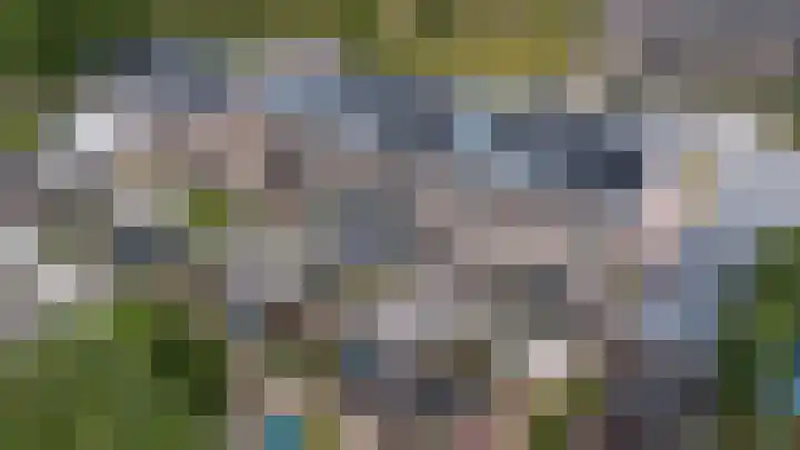 Frans Halserf 16 Twello thumbnail 18