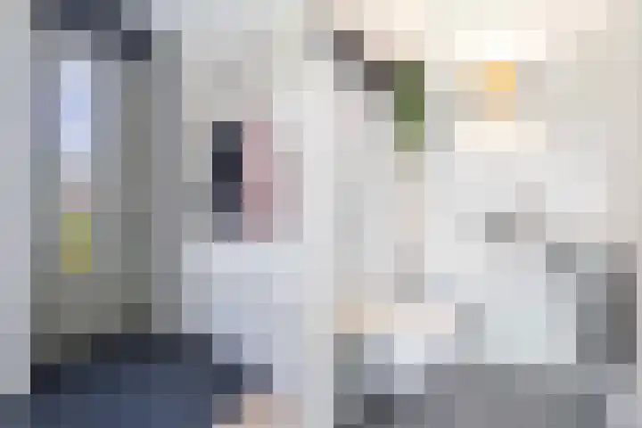 Frans Halserf 16 Twello thumbnail 19