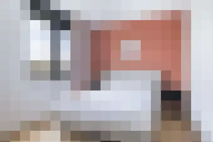 Frans Halserf 16 Twello thumbnail 22