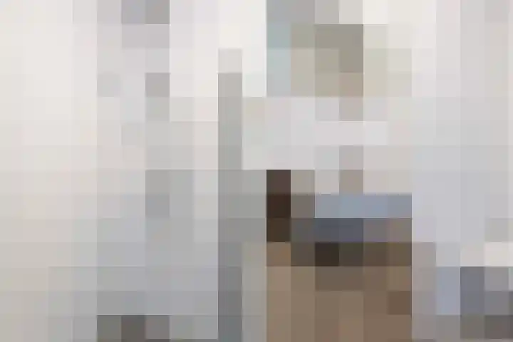 Frans Halserf 16 Twello thumbnail 28