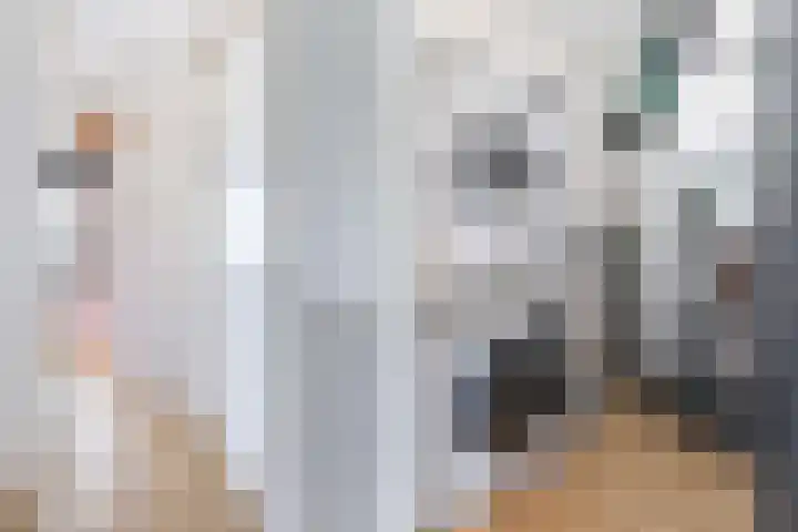 Frans Halserf 16 Twello thumbnail 29