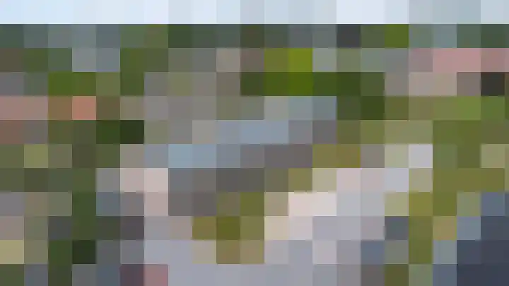 Frans Halserf 16 Twello thumbnail 30