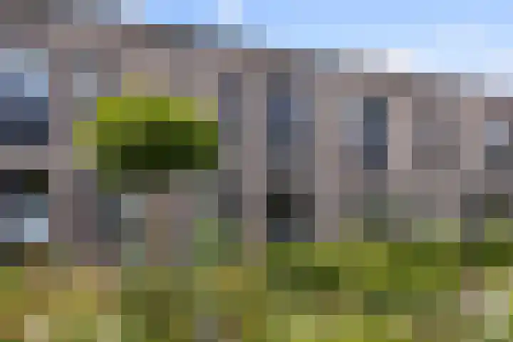 Frans Halserf 16 Twello thumbnail 33