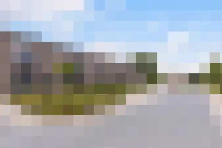 Frans Halserf 16 Twello thumbnail 36