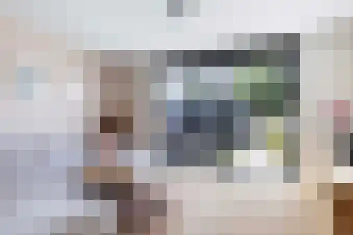Frans Halserf 16 Twello thumbnail 4