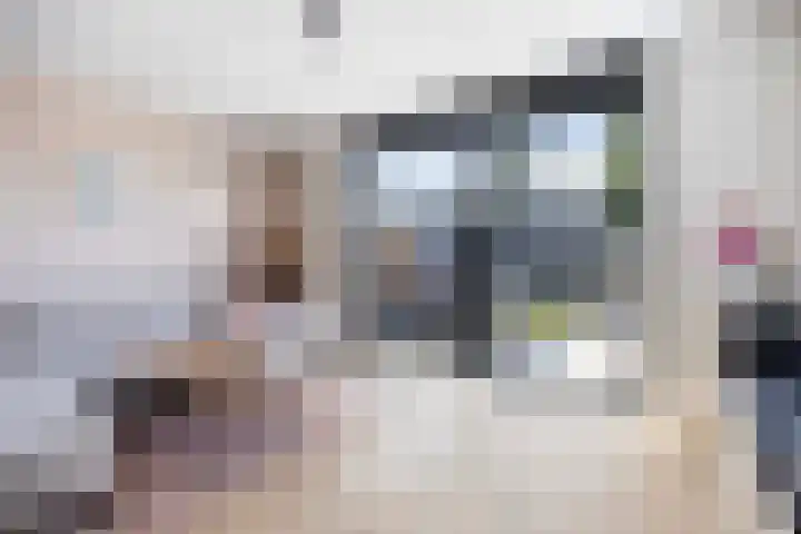 Frans Halserf 16 Twello thumbnail 5