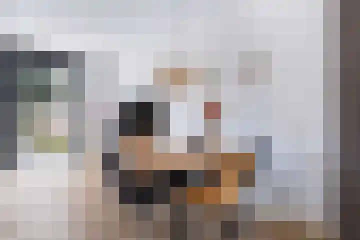 Frans Halserf 16 Twello thumbnail 8