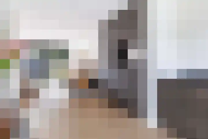 Frans Halserf 16 Twello thumbnail 9