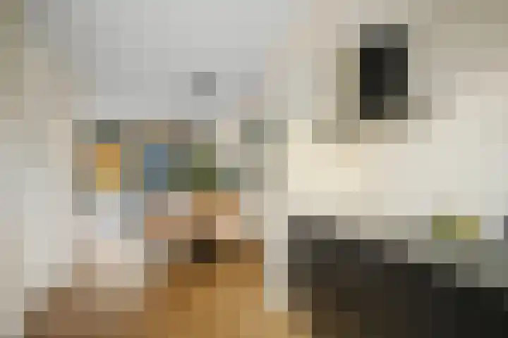Frans Halserf 3 Twello thumbnail 10