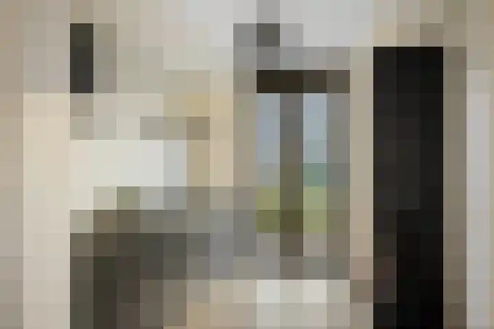 Frans Halserf 3 Twello thumbnail 11