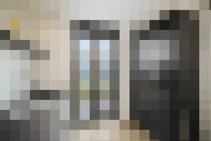 Frans Halserf 3 Twello thumbnail 12