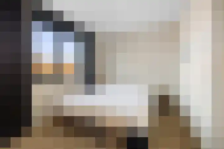 Frans Halserf 3 Twello thumbnail 14