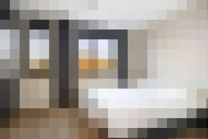 Frans Halserf 3 Twello thumbnail 15