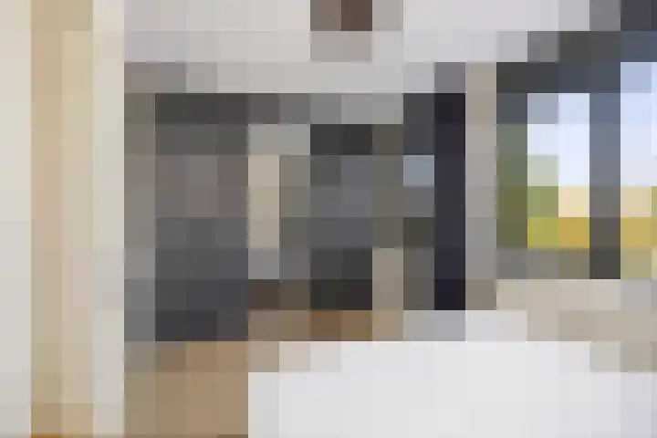 Frans Halserf 3 Twello thumbnail 16