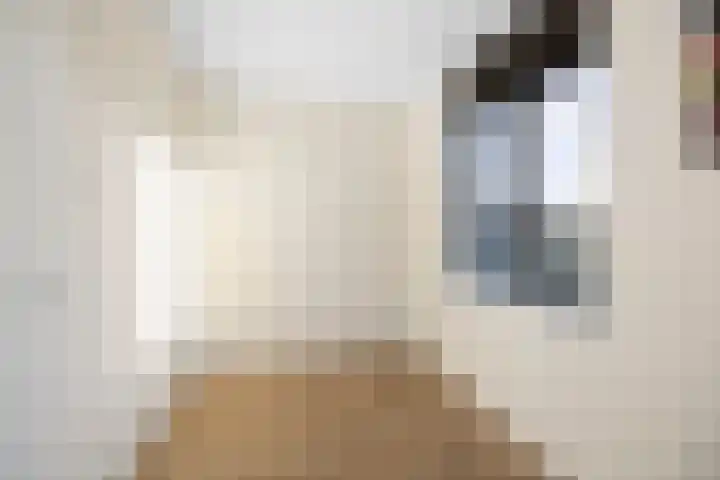 Frans Halserf 3 Twello thumbnail 18
