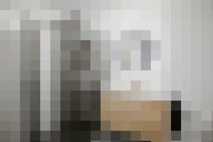 Frans Halserf 3 Twello thumbnail 19