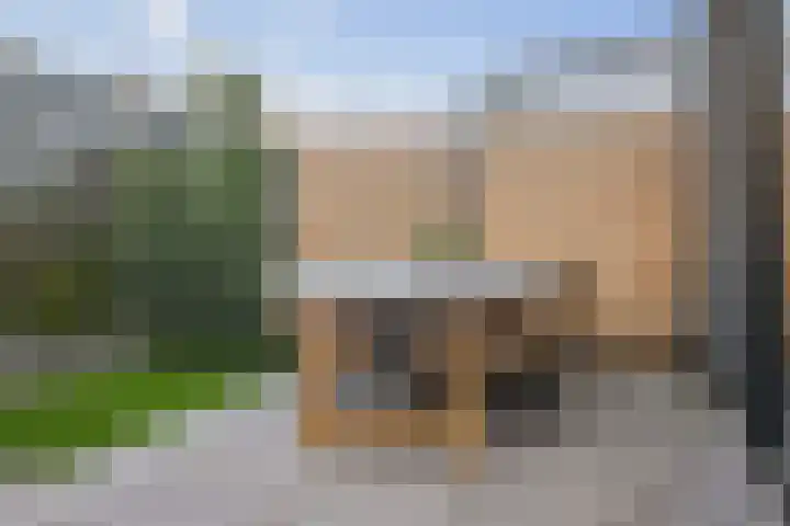 Frans Halserf 3 Twello thumbnail 22