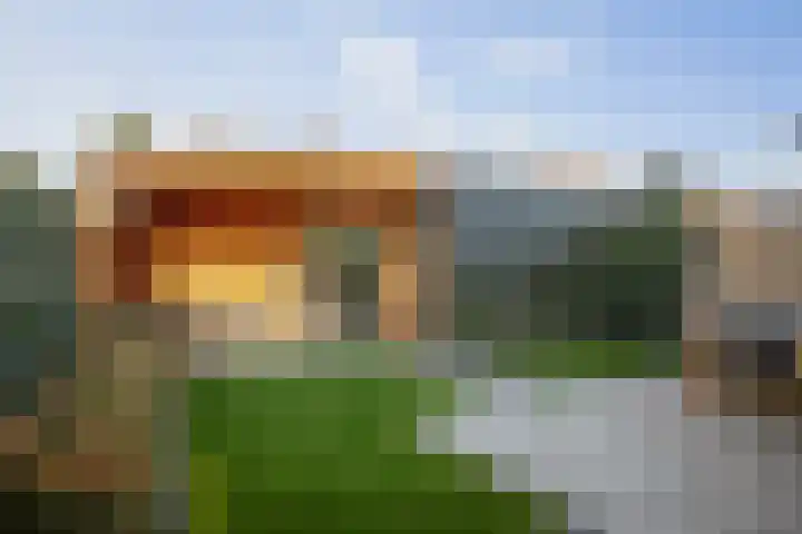 Frans Halserf 3 Twello thumbnail 23