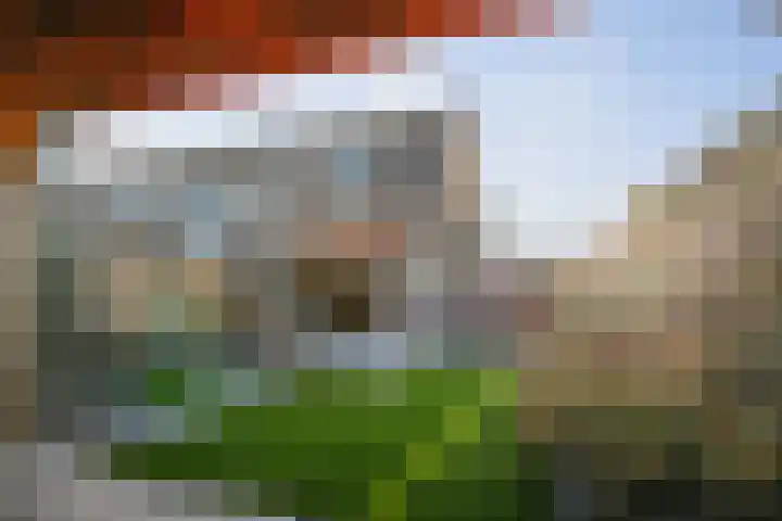 Frans Halserf 3 Twello thumbnail 25