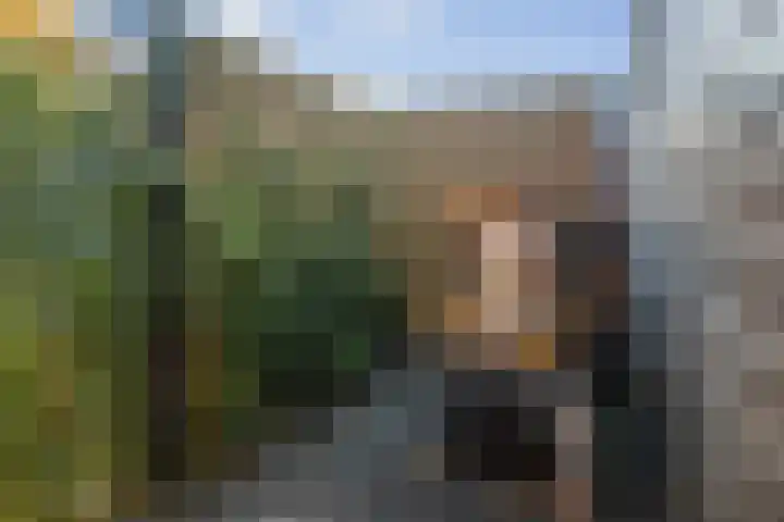 Frans Halserf 3 Twello thumbnail 26