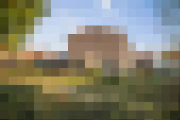 Frans Halserf 3 Twello thumbnail 27