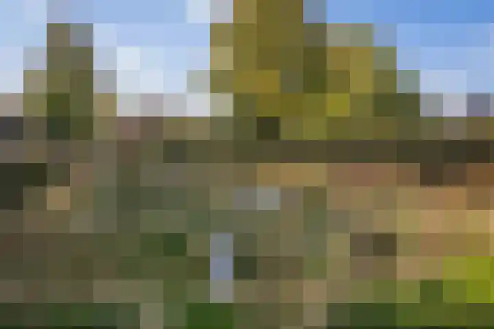 Frans Halserf 3 Twello thumbnail 28