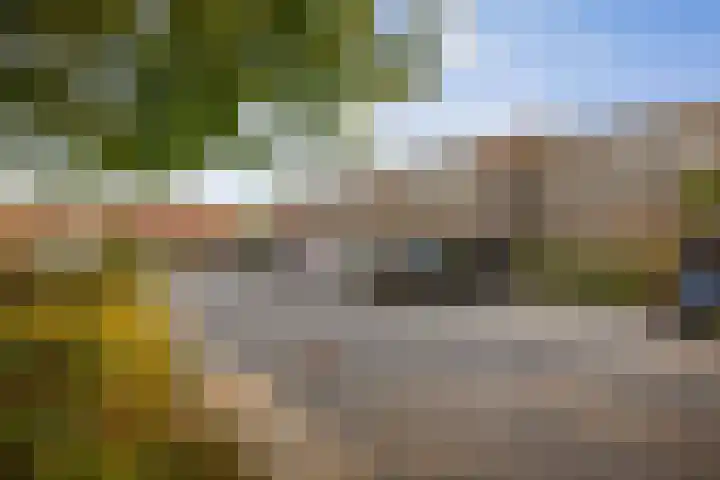 Frans Halserf 3 Twello thumbnail 29