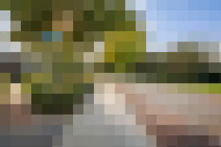 Frans Halserf 3 Twello thumbnail 30