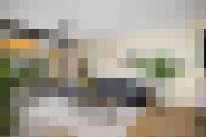Frans Halserf 3 Twello thumbnail 4