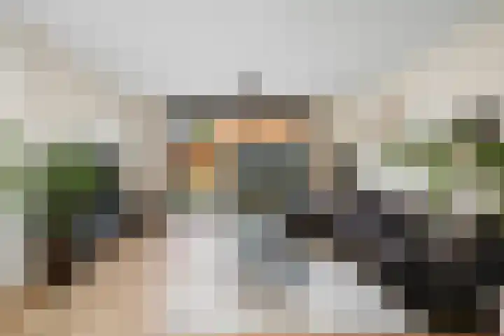 Frans Halserf 3 Twello thumbnail 5