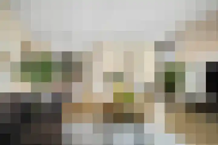 Frans Halserf 3 Twello thumbnail 6