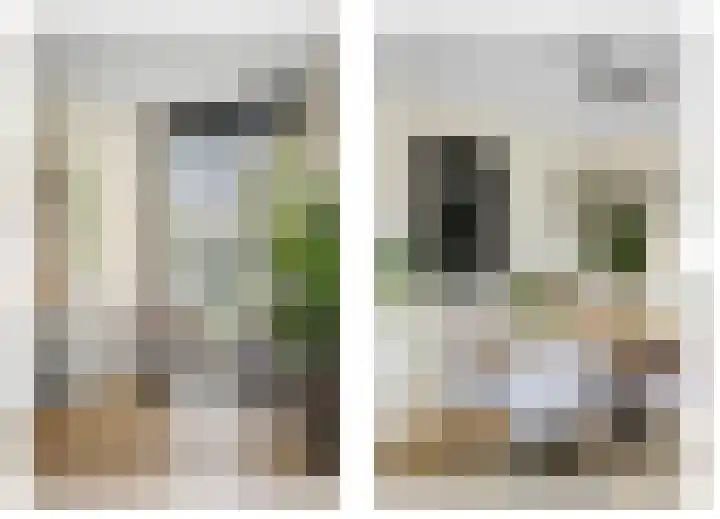 Frans Halserf 3 Twello thumbnail 7