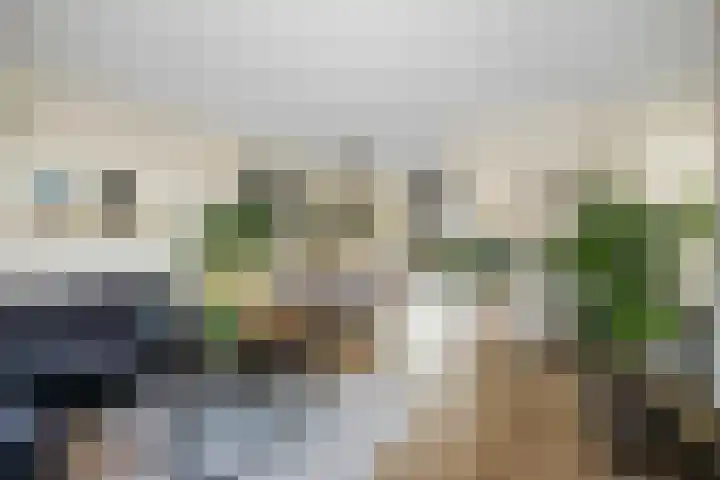 Frans Halserf 3 Twello thumbnail 8