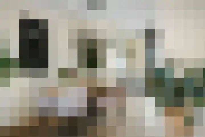 Frans Halserf 3 Twello thumbnail 9